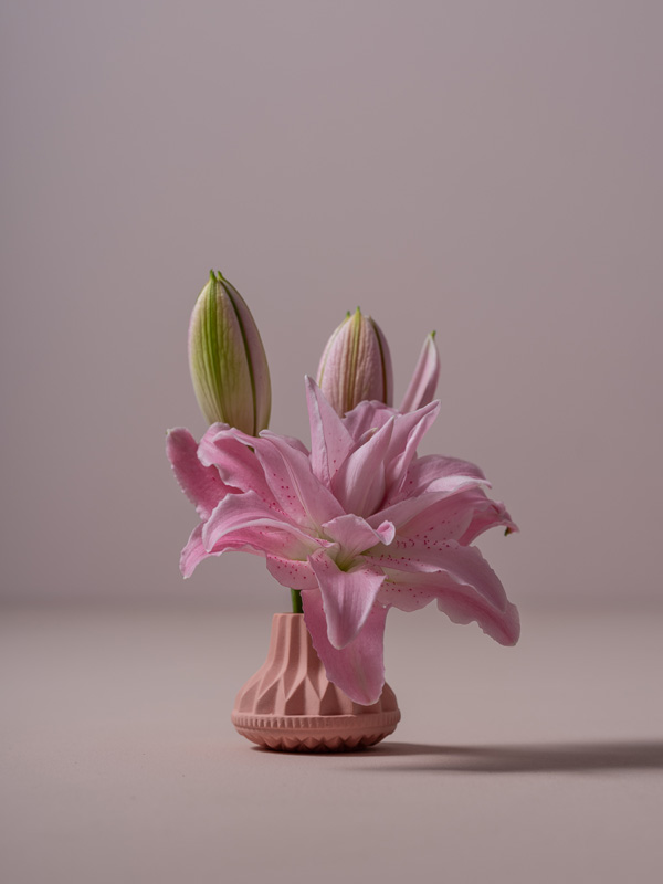 Dutch Lily Masters | Natural Styling